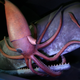 Illustration for article titled The science behind whales asymmetrical skulls